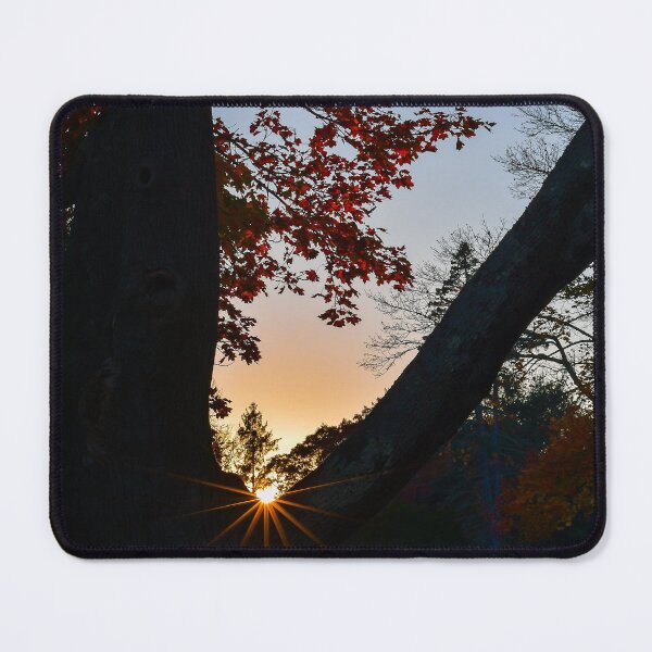 Item preview, Sun Burst in Autumn designed and sold by Kerri Ann McClellan.