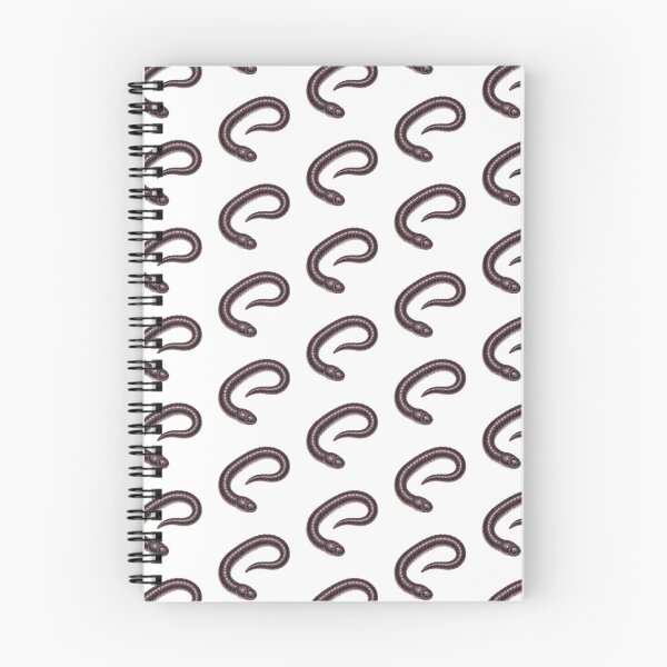 Item preview, Atretochoana Eiselti – Rare Caecilian Amphibian Illustratio designed and sold by so01.