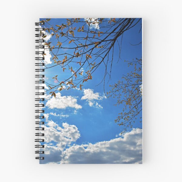 Item preview, Spring has sprung - Canoe Meadows  designed and sold by Rebecca Joppru Grimsley.