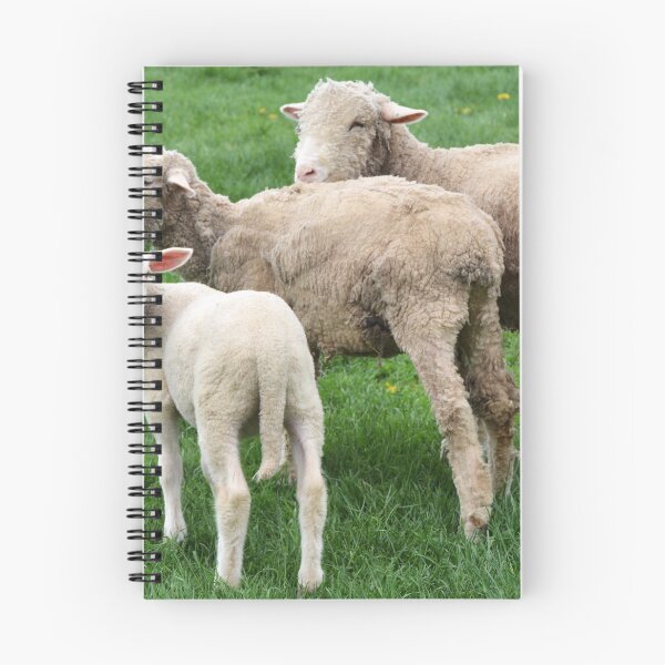Item preview, Shaker Sheep - Hancock Shaker Village designed and sold by Rebecca Joppru Grimsley.