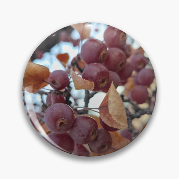 Item preview, Changing Seasons designed and sold by Betsy Phillips.