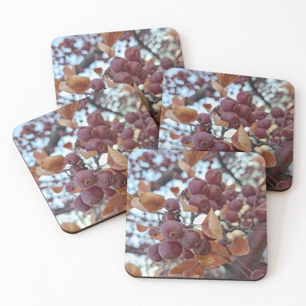 Item preview, Changing Seasons designed and sold by Betsy Phillips.