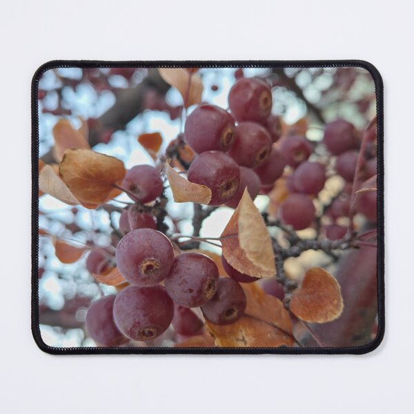 Item preview, Changing Seasons designed and sold by Betsy Phillips.