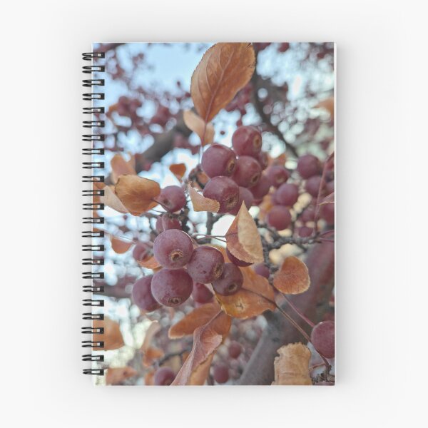 Item preview, Changing Seasons designed and sold by Betsy Phillips.