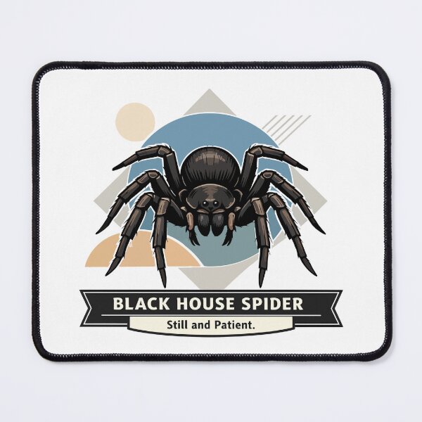 Item preview, Black House Spider Illustration – Still and Patient designed and sold by WildlifeInc.