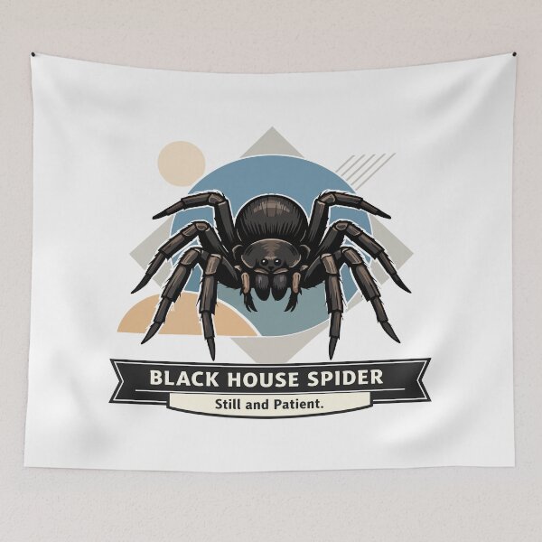 Item preview, Black House Spider Illustration – Still and Patient designed and sold by WildlifeInc.