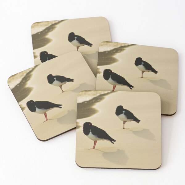 Item preview, Pied Oystercatchers designed and sold by WhitsundayPhotos.