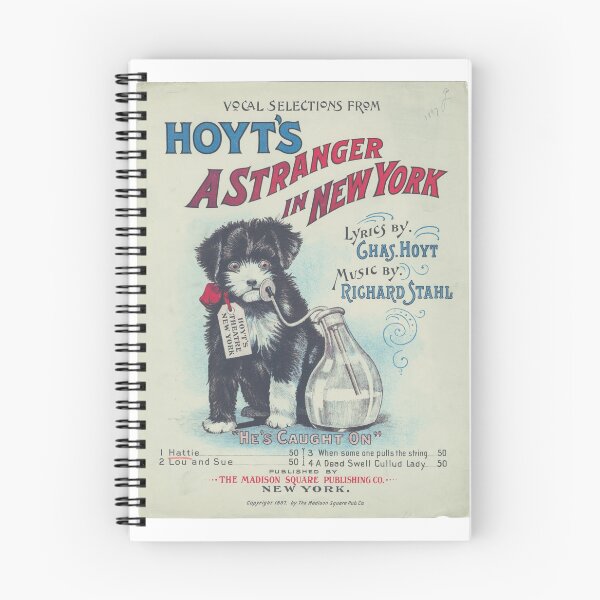 Item preview, Hoyt's A Stranger in New York designed and sold by NoisyNosyNancy.