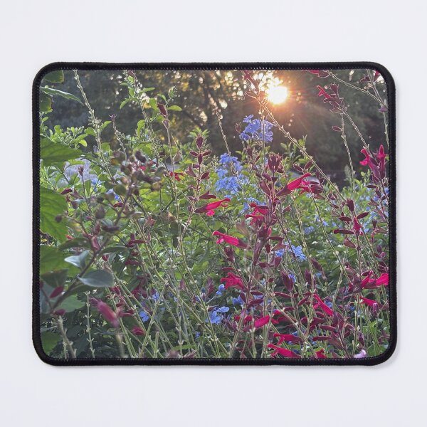Item preview, Sunset Wildflowers designed and sold by Nova Grace Collective.
