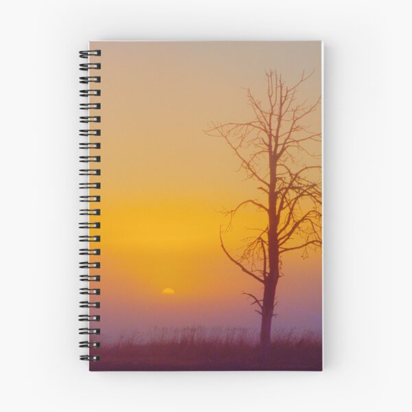 Item preview, Solitary Tree at Sunrise designed and sold by jklune.