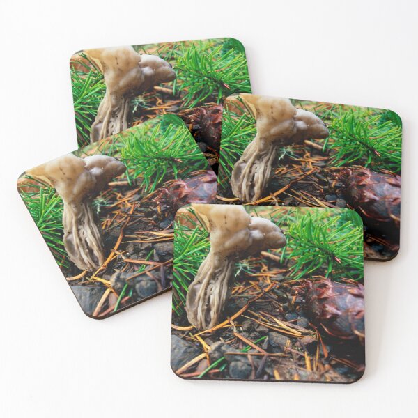 Item preview, Forest Floor with Mushroom designed and sold by jklune.