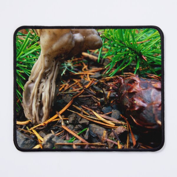 Item preview, Forest Floor with Mushroom designed and sold by jklune.