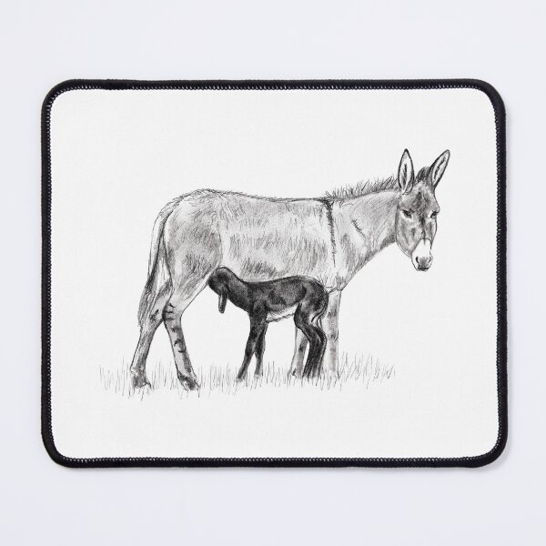 Item preview, Drawing of a donkey and her young foal suckling - graphite version designed and sold by SylvieG18.