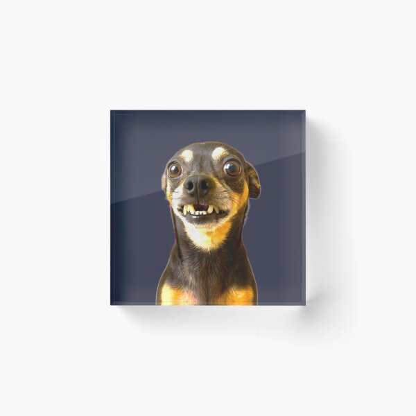 Item preview, Funny Chihuahua Meme designed and sold by The Art by Rossouw.