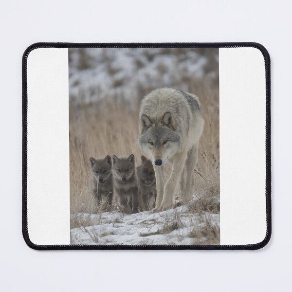 Item preview, Wolf Mother Protecting Her Pack designed and sold by kimkosovo.