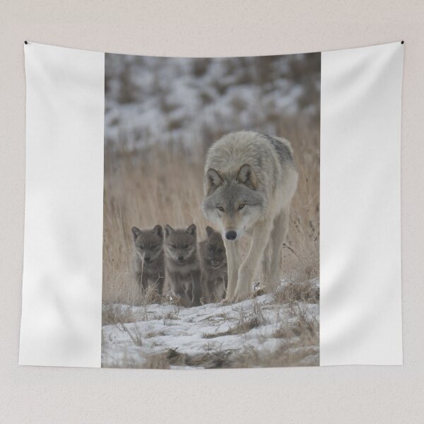 Item preview, Wolf Mother Protecting Her Pack designed and sold by kimkosovo.