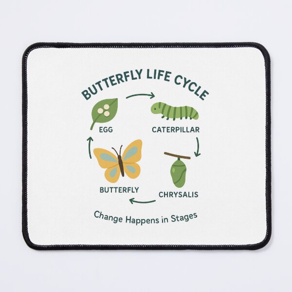 Item preview, Butterfly Life Cycle Illustration – Metamorphosis Educational Diagram designed and sold by WildlifeInc.