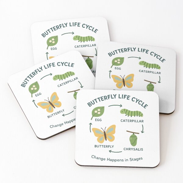Item preview, Butterfly Life Cycle Illustration – Metamorphosis Educational Diagram designed and sold by WildlifeInc.