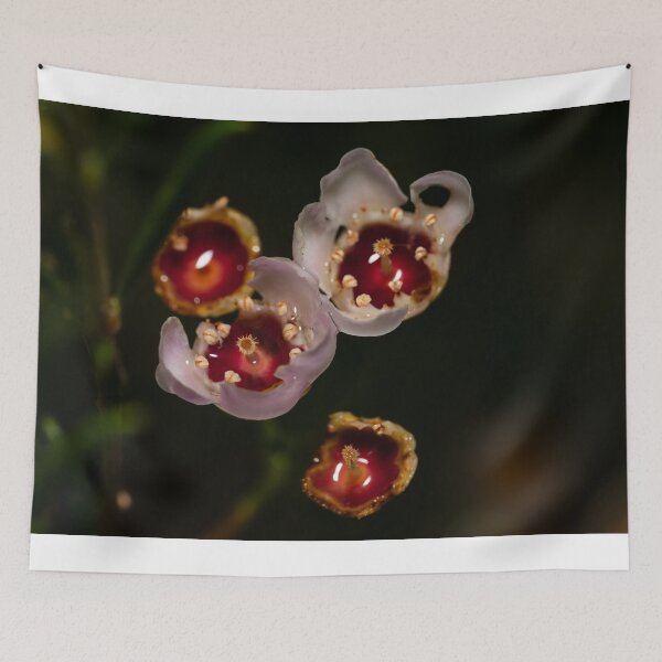 Item preview, Narrow DOF designed and sold by Jan Fijolek.