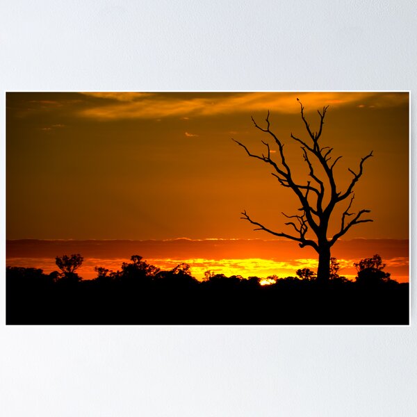 Item preview, SunRise @ Edenhope designed and sold by Murray Wills.