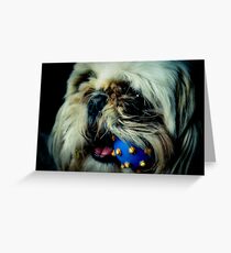 Happy Harry Greeting Card