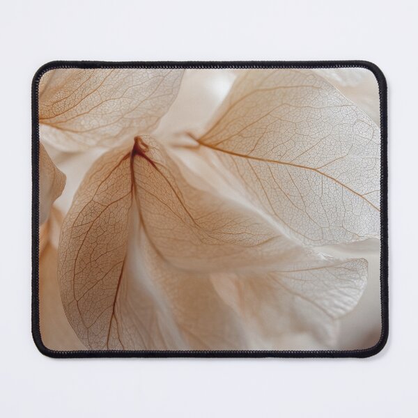 Item preview, Close up view of delicate leaves designed and sold by anytka.