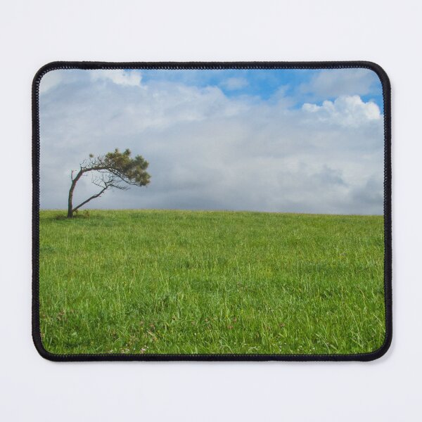 Item preview, Lone tree, Galicia designed and sold by Yellow-14.