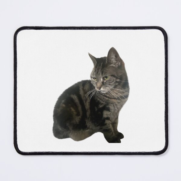 Item preview, Cats sits designed and sold by Designfs.