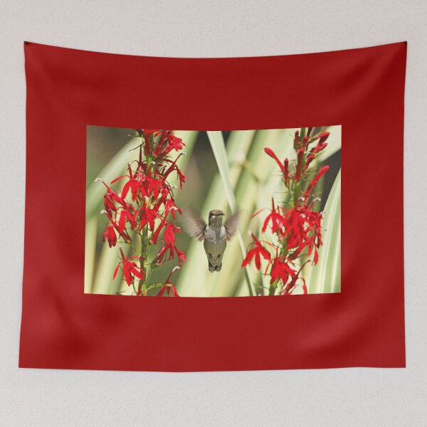 Item preview, Between Two Cardinals designed and sold by Debbie Oppermann.