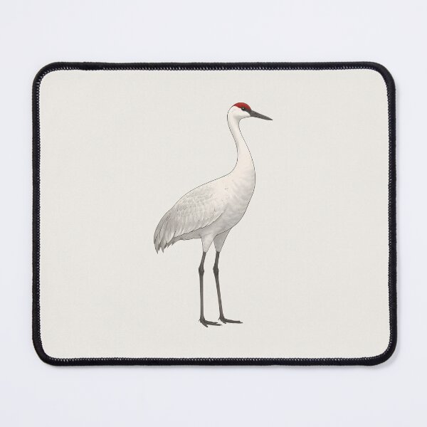 Item preview, Minimal Sandhill Crane Illustration designed and sold by Ombrya.