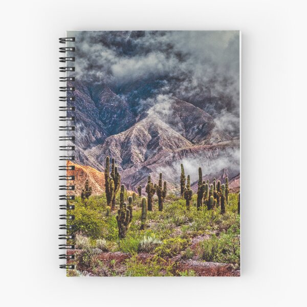 Item preview, Cardones Cactus Forest under Clouds - Quebrada de Humahuaca, Argentina designed and sold by Keltoi-art.