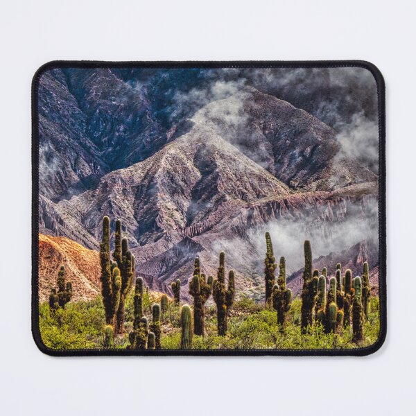 Item preview, Cardones Cactus Forest under Clouds - Quebrada de Humahuaca, Argentina designed and sold by Keltoi-art.