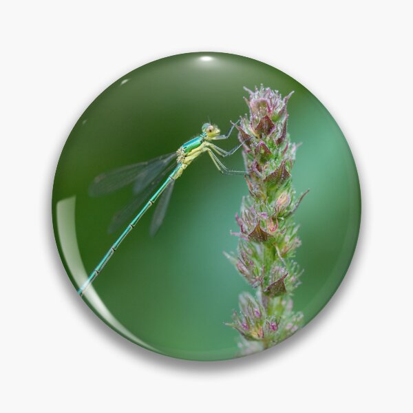 Item preview, dragonfly on flower designed and sold by Slalon85.