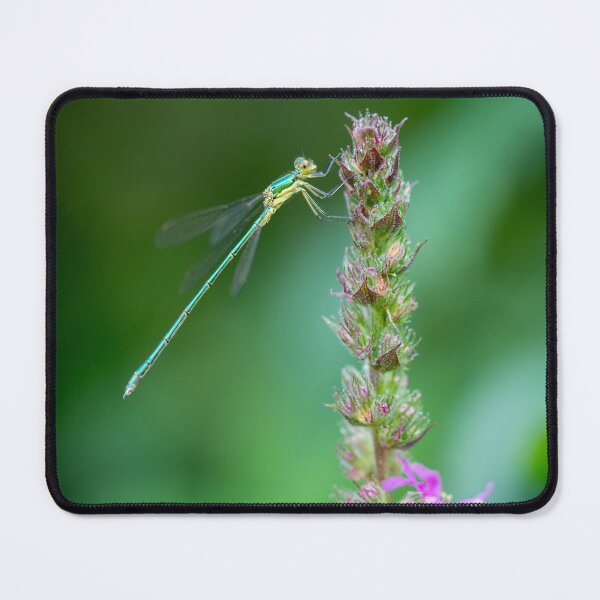 Item preview, dragonfly on flower designed and sold by Slalon85.