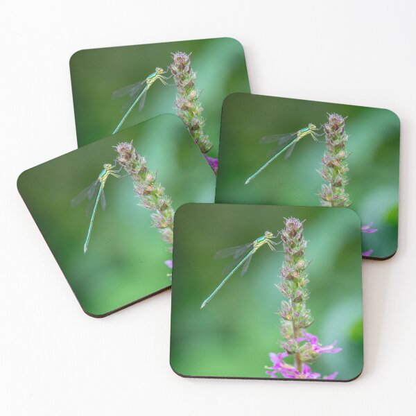 Item preview, dragonfly on flower designed and sold by Slalon85.