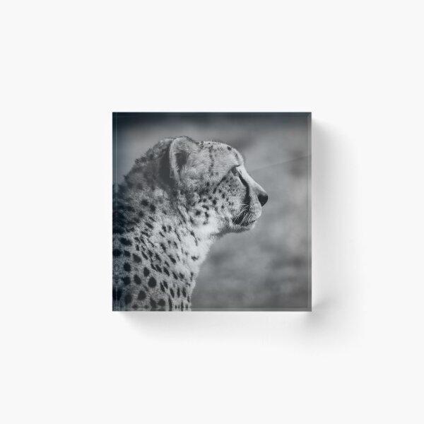Item preview, side view of a cheetah designed and sold by Slalon85.