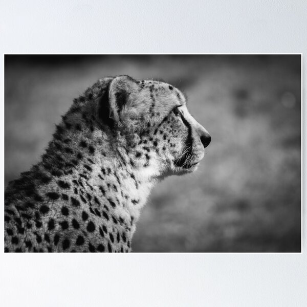 Item preview, side view of a cheetah designed and sold by Slalon85.