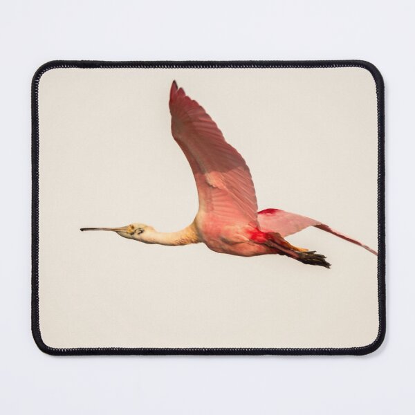 Item preview, Graceful Roseate Spoonbill in Flight designed and sold by Debra Martz.