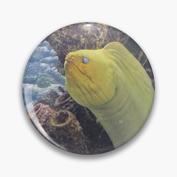 Item preview, Moray Eel 1 in Coral designed and sold by CoastalCalmCo.