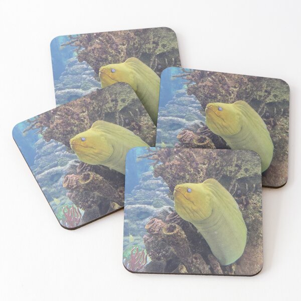 Item preview, Moray Eel 1 in Coral designed and sold by CoastalCalmCo.