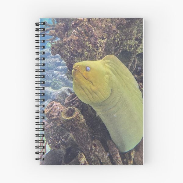 Item preview, Moray Eel 1 in Coral designed and sold by CoastalCalmCo.