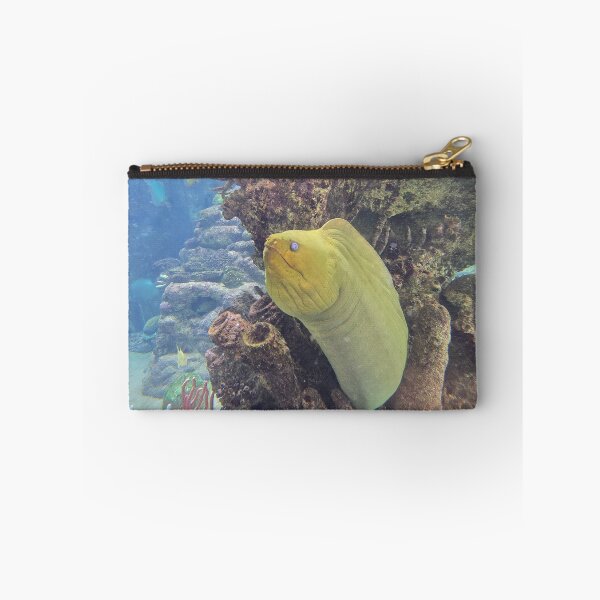 Item preview, Moray Eel 1 in Coral designed and sold by CoastalCalmCo.
