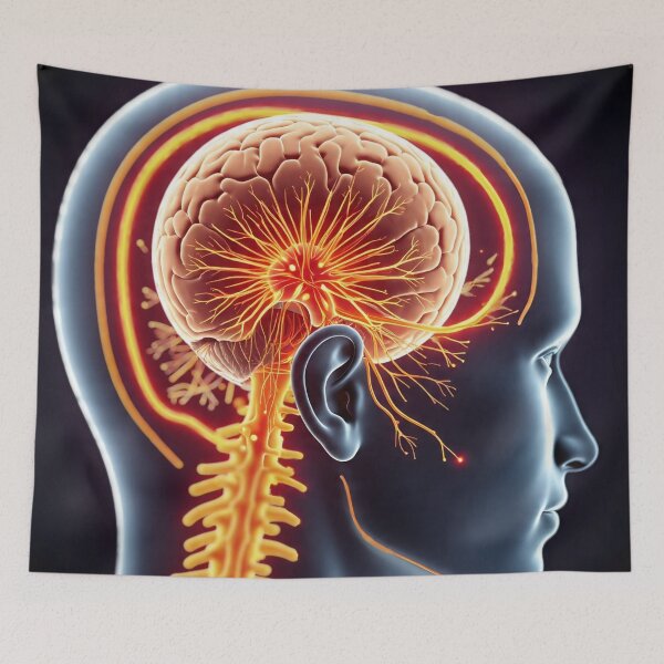 Item preview, Anatomy  designed and sold by AwesomeDigiShop.