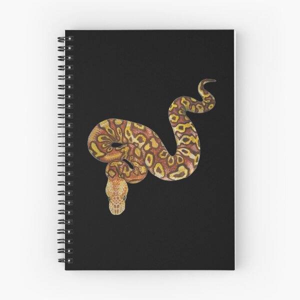 Item preview, Ball python (Python regius) designed and sold by Meowsome91.