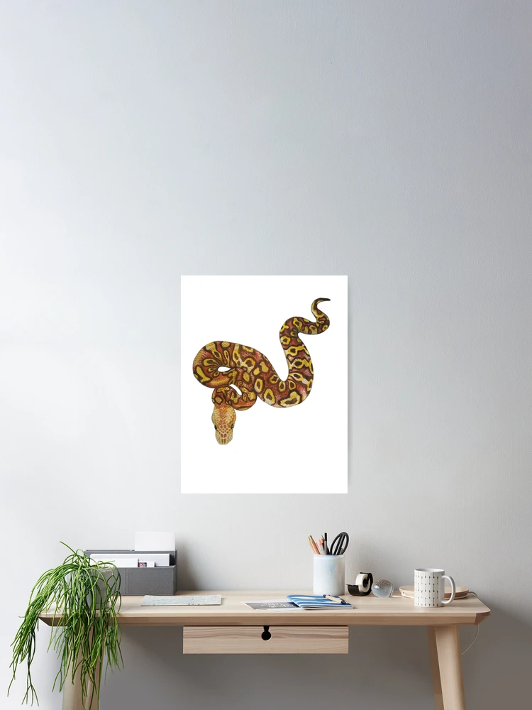 Thumbnail 2 of 3, Poster, Ball python (Python regius) designed and sold by Meowsome91.