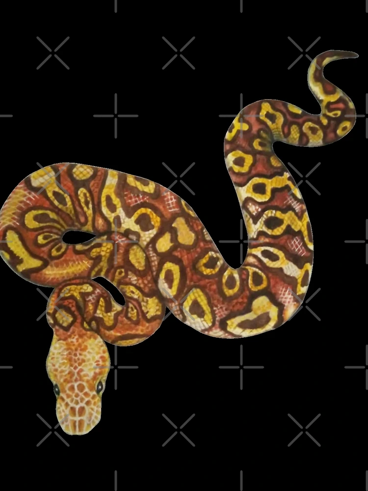 Thumbnail 3 of 3, Scarf, Ball python (Python regius) designed and sold by Meowsome91.