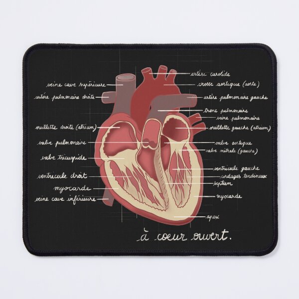 Item preview, Open Heart – Stylized Human Heart Illustration designed and sold by Mad-bidouille.
