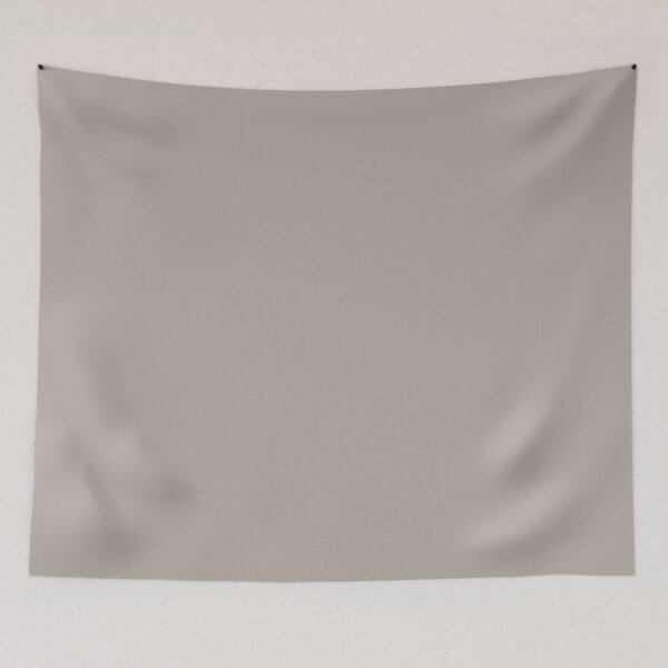 Item preview, TOP 100 COLORS — 2026 ✦ EXPANDED LIVING - ✨ Drifted Stone ✨ (#B3ABA2) designed and sold by WheelieGdArt.