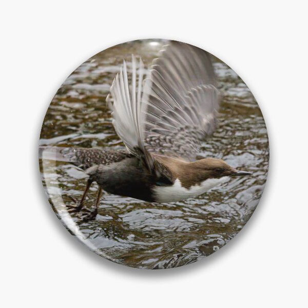 Item preview, Go. White-throated dipper designed and sold by Jouko Lehto Photography.