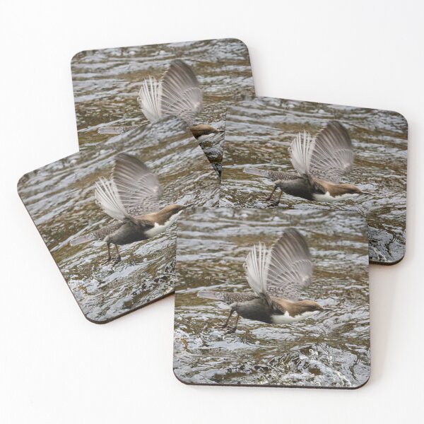 Item preview, Go. White-throated dipper designed and sold by Jouko Lehto Photography.